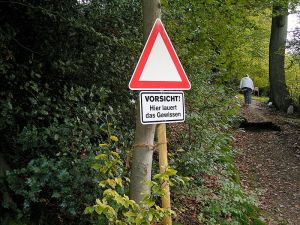 Caution! Conscience is lurking here