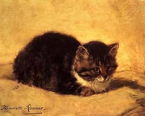 henriette-ronner-knip-cat1