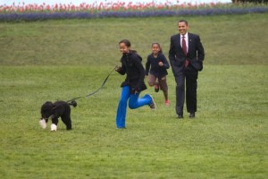 bo_and-girls-running