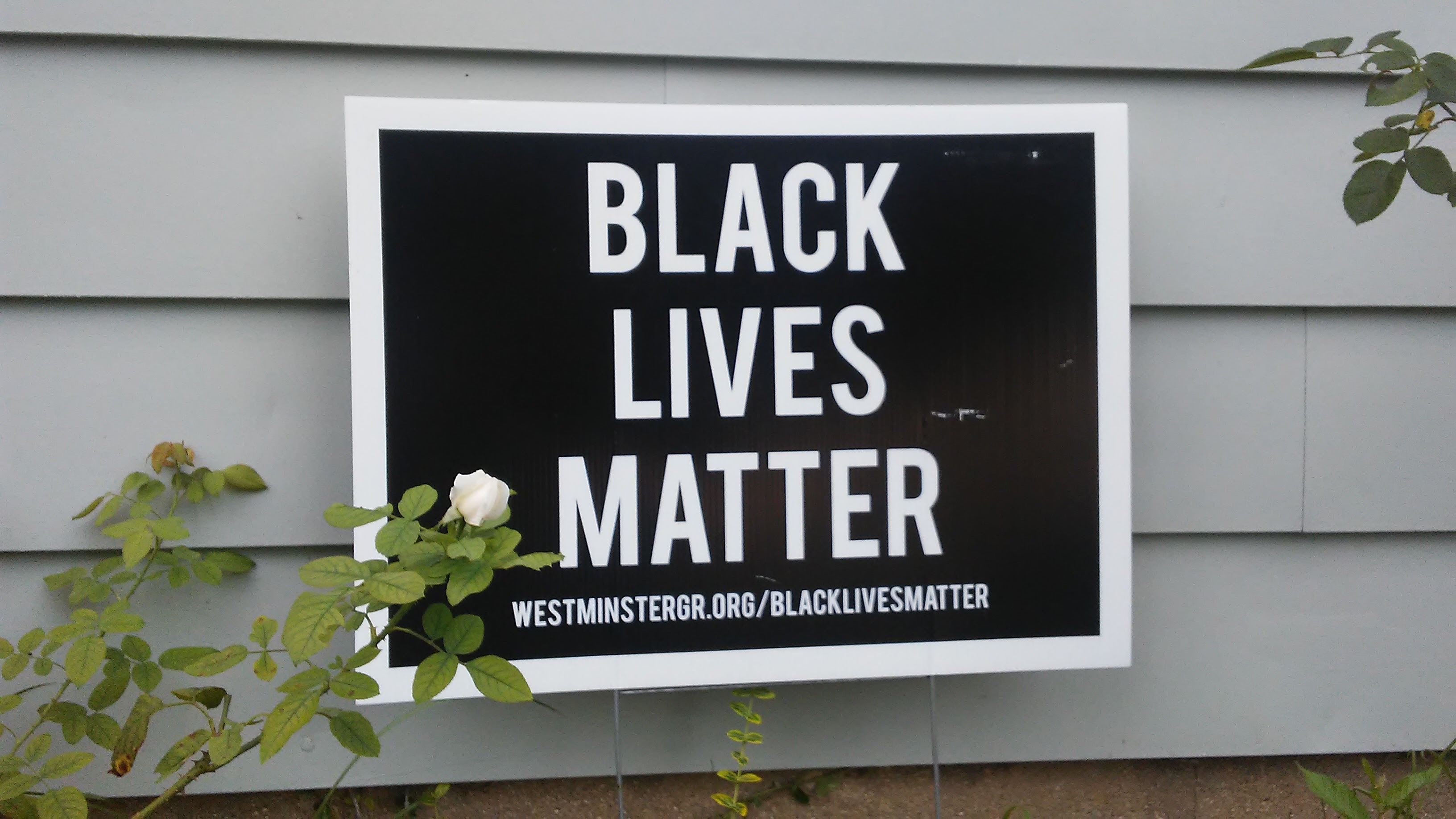 blacklivesmatter